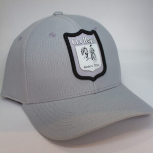 Boné Trucker Cinza