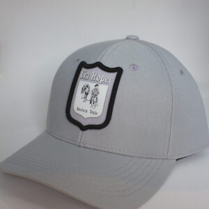 Boné Trucker Cinza