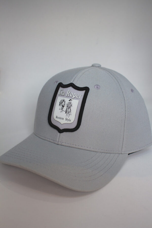 Boné Trucker Cinza