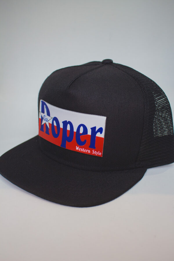 Boné Trucker Preto Cia Roper