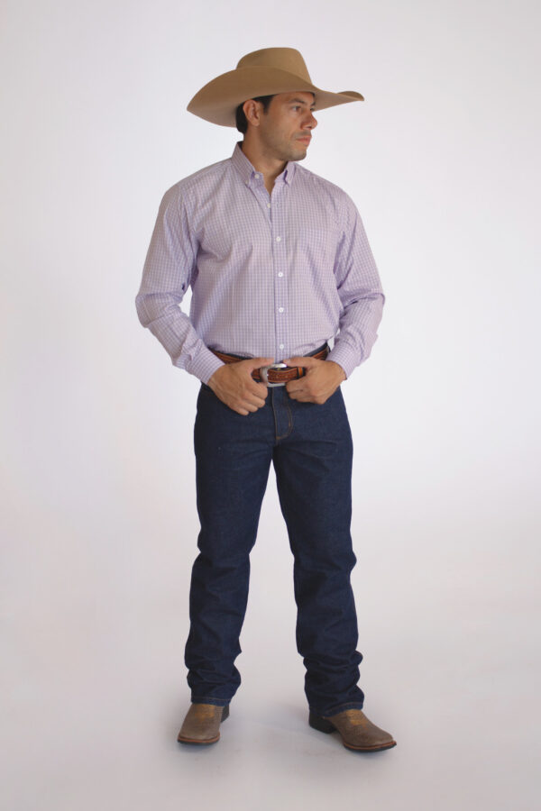 Camisa Masculina Country Manga Longa Xadrez azul claro com faixas brancas - Image 2