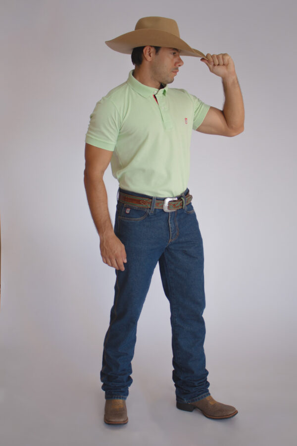 Camisa Gola Polo Masculina Clássica Verde Claro - Image 4