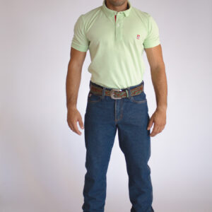 Camisa Gola Polo Masculina Clássica Verde Claro